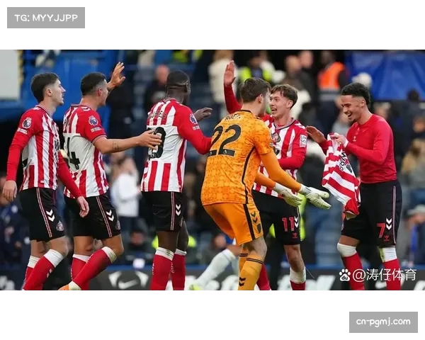 英超联赛升班马生存现状 桑德兰亿元引援难逃降级风险